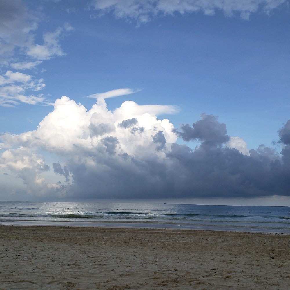 Meet your Posher, Autum